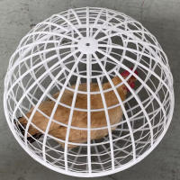Jaula Para Pollos Caminantes 3pcs 20cm Jaula De Rodillo Para Peces Huevos Y Aves Domésticas Alimentación Libre Almohadilla De Juguete Para Hamsters - details 3