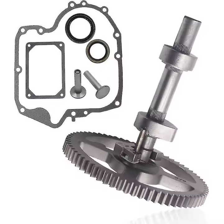 Kit de árbol de levas 84005207 793880 compatible con Briggs & Stratton 84005207 793880 793583 790400 792681 791942 795102 con junta 697110 y válvula 690564 - 1