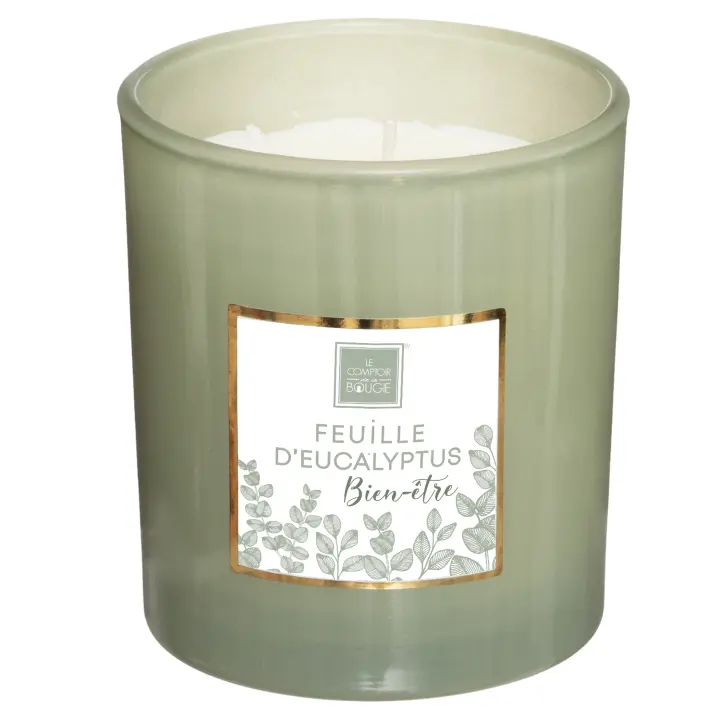 Vela Perfumada Eucalipto - Dulce Aroma - Infancia - Viajar - Fragancia Exótica - 1