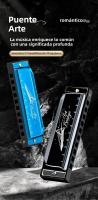 Harmonica Blues De 10 Agujeros En Clave C Con Estuche Diatónica Para Jugador Profesional Principiante Estudiantes Regalos Para Adultos - details 8