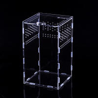 Caja De Alimentación Para Reptiles De Acrílico Terrario Transparente Hogar Para Insectos Araña Lagartos Escorpiones Caja De Encierro Arbóreo - details 3
