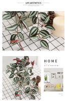 45cm Planta Artificial De Vínculo Hojas De Iva Falsas Scindapsus Aureus Rattan Para Decoración De Hogar Boda Jardín - details 7