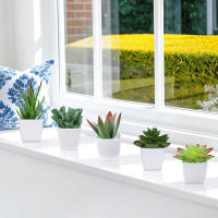 Juego De Macetas De Plástico Evergreen Para Decoración De Escritorio Y Oficina Estilo Suculentas Sin Mantenimiento Realista - details 25