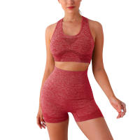 Conjunto De Yoga Para Mujer 2PCS Sin Costuras Top De Manga Larga Y Leggings De Cintura Alta Deporte Fitness Gimnasio Ropa Deportiva Transpirable Y Cómoda - details 21