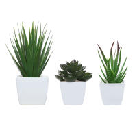 Set De 3 Plantas Miniatura En Macetas Simuladas Para Decoración De Hogares Restaurante Mesas Ventanas Y Estantes Material Plástico Estilo Bonsái - details 27