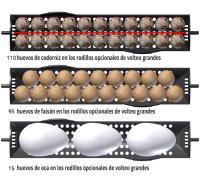 Incubadora de Huevos BRINSEA Ovation 56 EX - Digital y Control automático de la Humedad FINCA CASAREJO - details 1