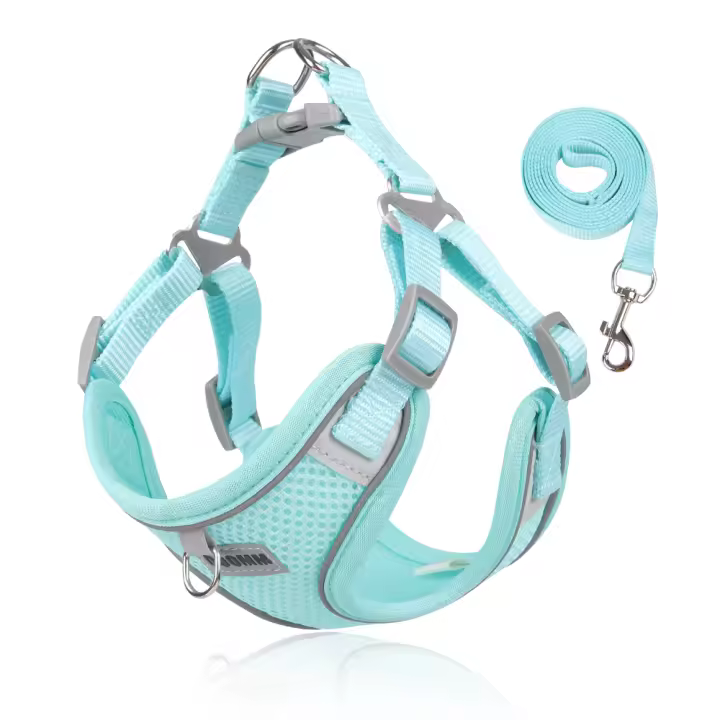 Correa Para Perros Pequeños Con Chaleco De Vestir Respirable Ajustable Para Gatos Y Mascotas Pequeñas Para Caminar Al Aire Libre - 1