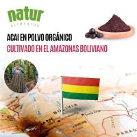 Bayas acai bio ecologico, potente antioxidante en polvo liofilizado 100 g Natur Alimentos - details 1