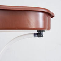 Piscina De Baño Para Reptiles Tazón De Terrario Plato De Alimentación Grande Para Tortuga Hamster Geckó Láser Accesorio De Hogar Para Dragones Barbudos - details 1