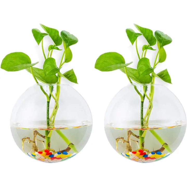Jardineras De Vidrio Para Colgar En La Pared 2Pcs Forma Esférica Macetas De Plantas Terrario Contenedor Florero Con 10CM Coloridas Interior Al Aire Libre Para El Jardín De Su Casa Boda De - 1