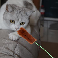 Juguete Interactivo Para Gatos 10pcs Varita De Trenzado De Peluche Divertida Para Gatos Y Gatitos Color Aleatorio Material De Nylon - details 3