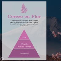 LILI HOME Spray Hogar Cerezo en Flor 225 Ml - Ambientador Ambar La fragancia se inicia con notas verdes y etéreas que se funden en un corazón afrutado y tropical. Una estela de frutos rojos y azahar completa la composición. - details 0