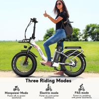 Bicicleta eléctrica Fafrees F20 Max Neumático ancho de 20 * 4.0 pulgadas Motor sin escobillas de 500 W Velocidad de 25 km / h Batería de celda Samsung extraíble de 48 V 22.5 Ah Frenos de disco delanteros y traseros Shimano Engranaje de 7 velocidades Bicic - details 6