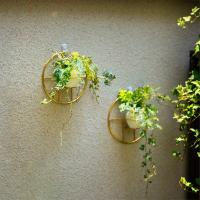 Juego de 2 macetas colgantes de interior Cactus Pot Decoración de pared Planta de interior Jardinera colgante Mini maceta colgante de pared Florero de cactus para plantas artificiales Contenedores suculentas - details 1