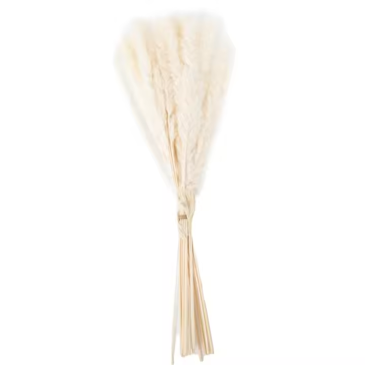 Ramo Avalon Deco Plumeros Naturales Color Beige (25x50cm) - 1