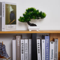 Planta Artificial De Bonsái Pequeña En Maceta Arbolado Falso Para Decoración De Jardín Y Habitaciones Estilo De Exhibición - details 3