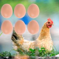 6/12Pcs Huevos De Plástico Para Casa De Pollo Pequeños Accesorios Para Jaulas De Animales De Granja Suministros De Cerdos Y Peces Pintura De Huevos De Guía Para Nido De Pollo - details 6