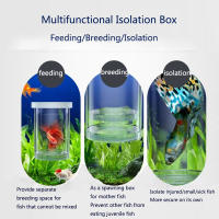 Caja De Cría De Peces Flotante En Plástico Acuario Incubador De Alimentos Para Peces Hatchery Accesorios De Acuario - details 4