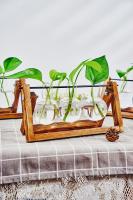 Jarrón De Vidrio Para Plantas En Escritorio Estación De Propagación Hidroponía Con Soporte De Madera Terrario Juego De Flores Estilo Americano Y Art Decó - details 2