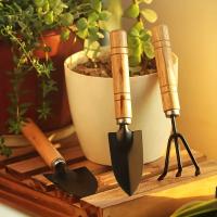 Juego De Herramientas De Jardín 3pcs Rake Pala Mini Para Plantas Succulentas Y Tierra Suave Aluminio Herramienta De Jardinería - details 2