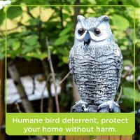Dispositivo De Control De Aves Con Owl Falso Y Ojos Que Parpadean Sonido Asustadizo Estatua De Owl Realista Para El Jardín - details 4