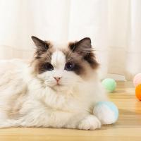 Juguetes Interactivos Para Gatos Y Perros Bolas De Terciopelo Coloridas Juguete Suave Para Juegos Divertidos Y Adorables - details 12