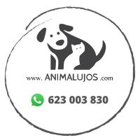 Comida Cocinada de Carne para Perros, 70% Carne de Vacuno con Batatas, Verduras Frescas y Fruta - 6 Unidades x 400 gr - ANIMALUJOS - details 2