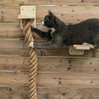 Juego De 2 Puestos Para Gatos Con Cuerda De Escalada Y Estante Montado En La Pared Gym De Selva Para Gatos Domésticos Interiores Poste De Rascado Escalera Juguete Interactivo - details 0