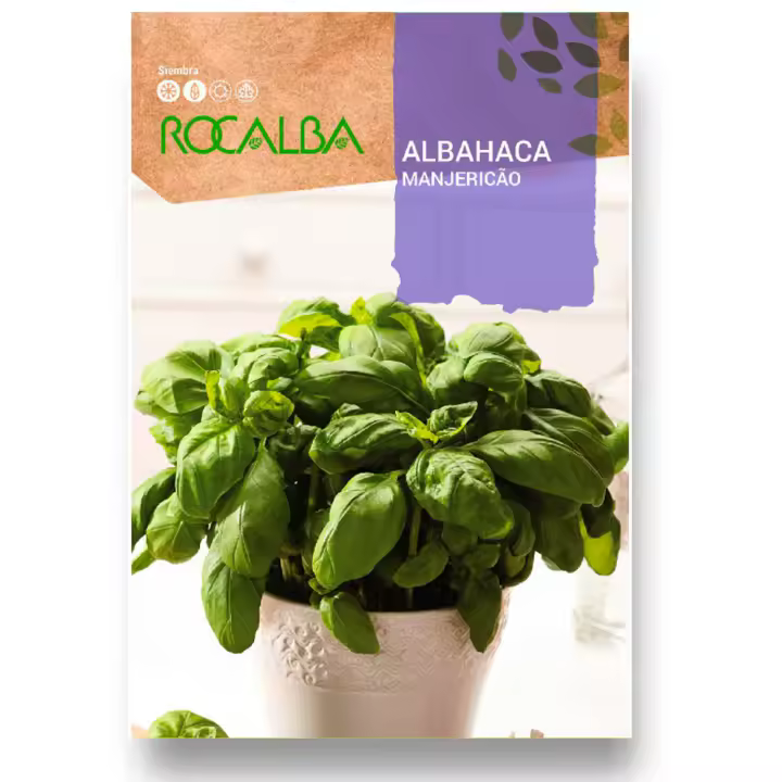 Semillas Albahaca Profesional - Sobre 4 GR (Sobre Grande) - Albahaca muy sabrosa y con mucho aroma - Rocalba Semillas - 1