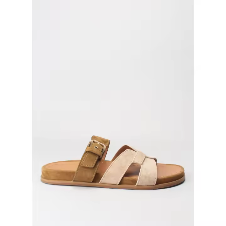 bio ante beige ante camel NICHI SEIJO - 1