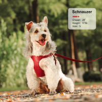 Juego De Arnés Y Correa Para Perros Y Gatos Pequeños Y Medianos De Cuero PU Suave Arnés De Chaleco Con Correa Para Perra Chihuahua - details 6
