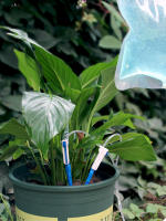 Bolsa De Riego Automática Para Plantas 3.5 L Sistema De Riego Por Goteo Dispositivo De Riego Plástico Para Jardín - details 4