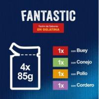 FELIX Fantastic Festín de Sabores en Gelatina - Alimento Húmedo Completo para Gatos Adultos (Buey, Conejo, Pollo y Cordero) - details 0