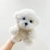 Muñeco De Peluche Realista Con Cabello Curvo Para Niños Y Bebés Juguetes De Animales Suaves Decoración De Habitación Regalo De Cumpleaños De Alta Calidad - details 9