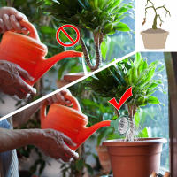 Cabeza De Rosa Para Botella De Riego Jardín Universal Repuesto Para Aspersor Herramienta De Riego Del Jardín 1/2pcs - details 2