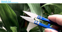 3Pcs Tijeras De Podar Mini Tijeras Sujetas Antideslizantes Metálicas Para Jardinería Y Costura Herramienta De Cortado De Ramas Y Hilo - details 9