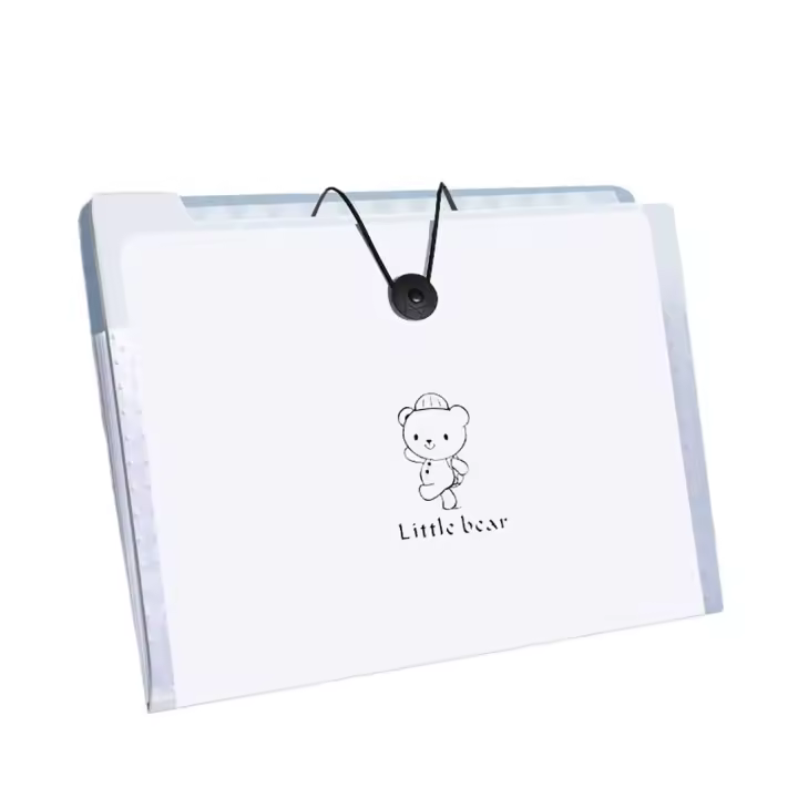 Caja De Almacenamiento De Carpetas A4 Estilo Insert Transparente Herramienta De Organización Y Clasificación De Pruebas Y Libros De Datos - 1