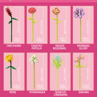 Bloques De Construcción De Bouquet De Flores Eterna Rosa Y Girasol Modelo De Planta Con Vaso Juguete DIY Para Niños Regalos Creativos Decoraciones De Escritorio - details 39