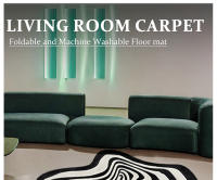 Carpet Irregular Para Sala De Estar Y Dormitorio Decoración Moderna Alfombra Negra Y Blanca Máquina Lavable Estilo Clásico - details 0