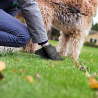 120 Rolls De Bolsas Para Excremento De Perro Suministros Para Limpieza Al Aire Libre Refill Garbage Bag Para Mascotas 15Bags/Roll - details 15
