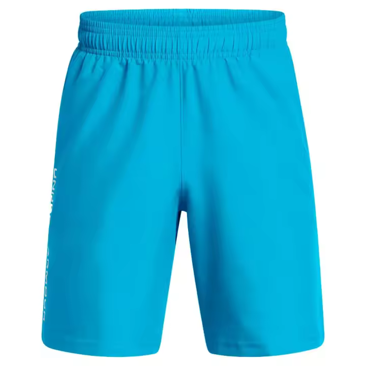Under Armour Pantalones Cortos Tech Woven Wordmark - 1