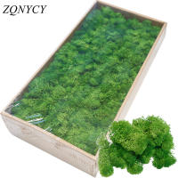 Plantas Artificiales Verdes 40g Vida Eterna Mostrador De Hierba Para Decoración De Hogar Sala De Estar Jardín Mini Paisaje Flores Falsas Para DIY Y Exposiciones - details 0