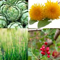 Depuforte Naturkea: Jarabe Diuretico y Depurativo para la Retención de líquidos - Detox - Adelgazante Potente - Vegano - details 0
