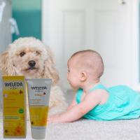 Crema de pañal caléndula Weleda, calma y regenera la piel enrojecida e irritada del culito del bebé, protege y aísla de la humedad, - details 1