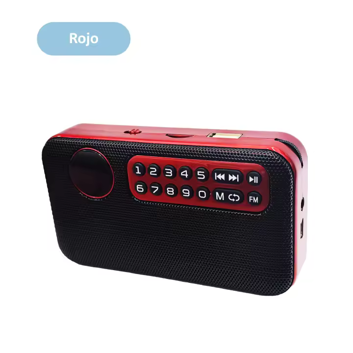 LIFA Radio FM digital pequeño con entradas USB y tarjeta SD, radio portátil recargable B635 - 1