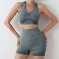Conjunto De Yoga Para Mujer Ropa De Gimnasio Con Bragas Y Camisetas Sport Tops Sin Costuras Leggings De Gimnasio Transpirable Y Ecológica - details 7