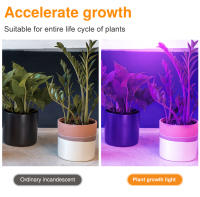 Lámpara De Crecimiento Para Plantas LED E27 Espectro Completo Foco Para Cultivo En Invernadero Y Tentación Hidroponía Con Varias Quantidades De LEDs 48/60/80/126/200/300 - details 14