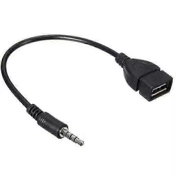 Kit de cable adaptador conversor OTG de conector auxiliar de audio macho de 3,5 mm a USB 2.0 tipo A hembra - 1