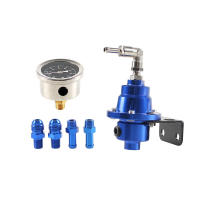 Kit De Regulador De Presión De Combustible Ajustable En Aluminio Con Medidor Para Reubicación De Vehículos Y Superchargers - details 4