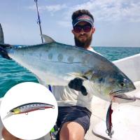2PCS Señuelo De Pesca Duro 92mm/40g Minnow Para Bass Y Agua Salada Con Diseño Realista Para Atraer Grandes Peces - details 0